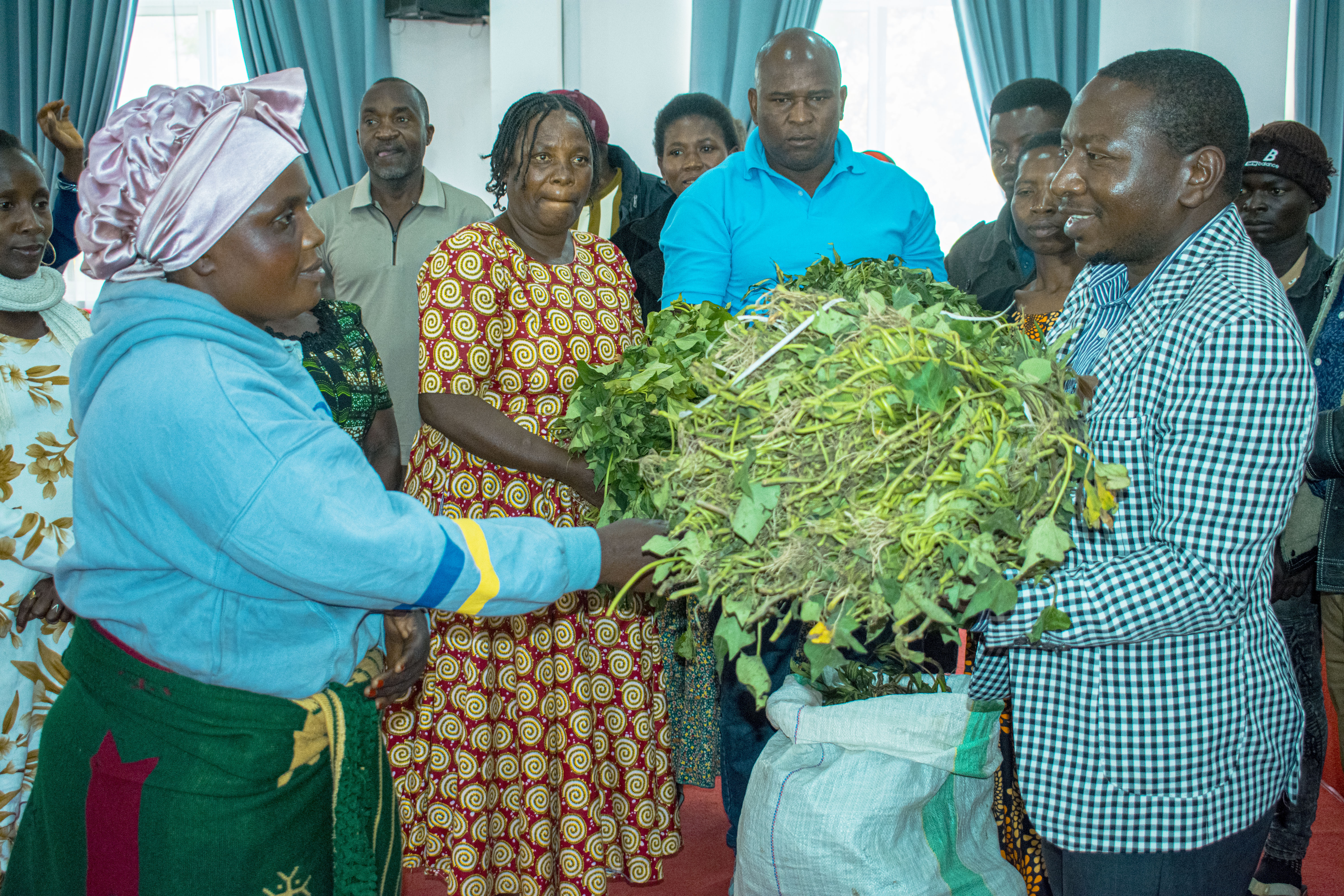 IRINGA YACHOCHEA MAPINDUZI YA KILIMO CHA LISHE KUPITIA UZINDUZI WA MBEGU ZA VIAZI LISHE